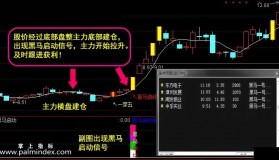 【通达信指标】猎黑马决策-主副图指标公式