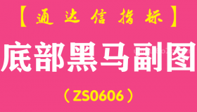 [ZS0606]底部黑马副图-通达信指标公式
