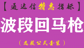 【通达信指标】波段回马枪-副图指标公式