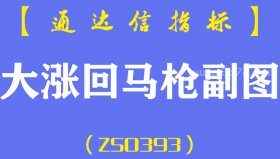 [ZS0393]大涨回马枪副图-通达信指标公式-大涨阳线回调