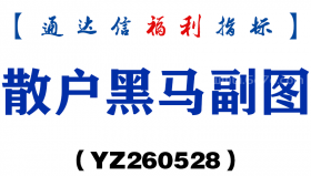 [YZ260528]散户黑马副图－通达信指标源码分享