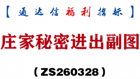 [ZS260328]庄家秘密进出副图－通达信指标源码分享