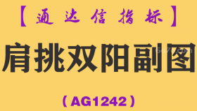 [AG1242]肩挑双阳副图-通达信指标公式-经典版+进化版预警