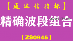 [ZS0945]精确波段组合-通达信指标公式