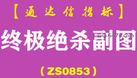 [ZS0853]终极绝杀副图-通达信指标公式