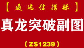 [ZS1239]真龙突破副图-通达信指标公式