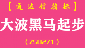 [ZS0271]大波黑马起步-通达信副图指标公式