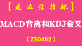 [ZS0482]MACD背离和KDJ金叉副图-通达信指标公式