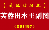 [ZS1187]芙蓉出水主副图-通达信指标公式-放量平台突破箱体回踩