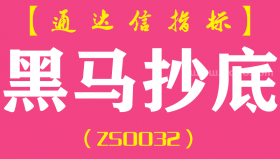 [ZS0032]黑马抄底-通达信副图指标公式