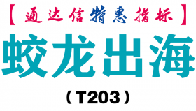 【通达信指标】蛟龙出海-副图指标公式（T203）