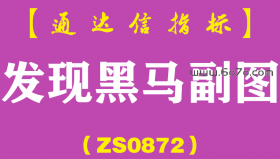 [ZS0872]发现黑马副图-通达信指标公式