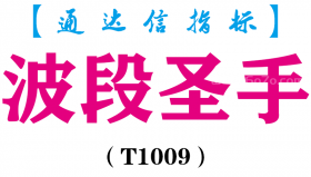 【通达信指标】波段圣手-副图指标公式（T1009）