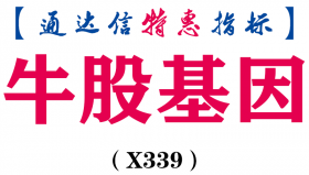 【通达信指标】牛股基因-副图指标公式（X339）