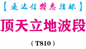 【通达信指标】顶天立地波段-副图指标公式（T810）