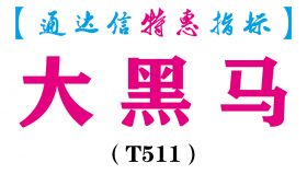 【通达信指标】大黑马-副图指标公式（T511）