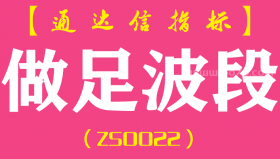 [ZS0022]做足波段-通达信副图指标公式