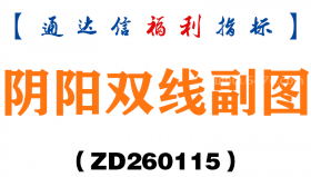 [ZD260115]阴阳双线副图－通达信指标源码分享
