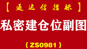 [ZS0981]私密建仓位副图-通达信指标公式