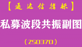 [ZS0370]私募波段共振副图-通达信指标公式-实战最牛波段