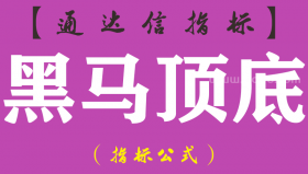 【通达信指标】黑马顶底-副图指标公式