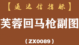 [ZX0089]芙蓉回马枪副图-通达信指标公式
