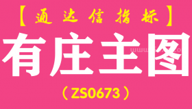 [ZS0673]有庄主图-通达信指标公式-含手机版