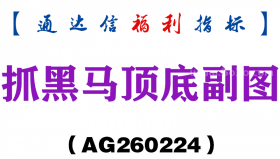[AG260224]抓黑马顶底副图－通达信指标源码分享