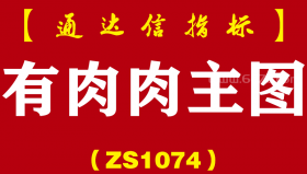 [ZS1074]有肉肉主图-通达信指标公式