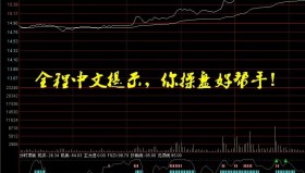 【通达信指标】分时顶底-全程中文解盘副图指标公式