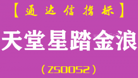 [ZS0052]天堂星踏金浪-通达信副图指标公式