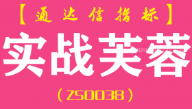 [ZS0038]实战芙蓉-通达信副主指标公式