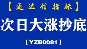[YZB0081]次日大涨抄底副图-通达信指标公式