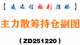 [ZD251220]主力散筹持仓副图－通达信指标源码分享