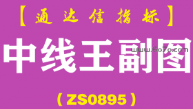 [ZS0895]中线王副图-通达信指标公式