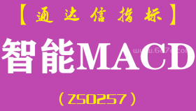 [ZS0257]智能MACD-通达信副图指标公式