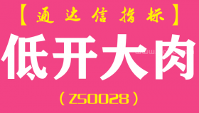 [ZS0028]低开大肉-通达信副图指标公式