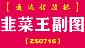 [ZS0716]韭菜王副图--通达信指标公式