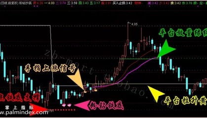 【通达信指标】粉钻抄底-看底逃顶副图选股指标公式