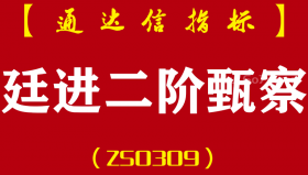 [ZS0309]廷进二阶甄察-通达信主副图指标公式-操作在当下、把握在未来、买在强势中