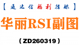 [ZD260319]华丽RSI副图－通达信指标源码分享