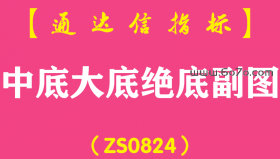 [ZS0824]中底大底绝底副图-通达信指标公式