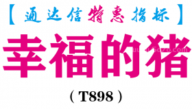 【通达信指标】幸福的猪-副图指标公式（T898）