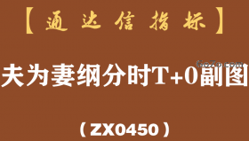 [ZX0450]夫为妻纲分时T+0副图-通达信指标公式-吃完涨幅吃振幅的分时T+0