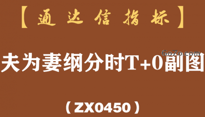 [ZX0450]夫为妻纲分时T+0副图-通达信指标公式-吃完涨幅吃振幅的分时T+0