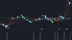 【通达信源码分享】精品指标公式－兔子笨尼