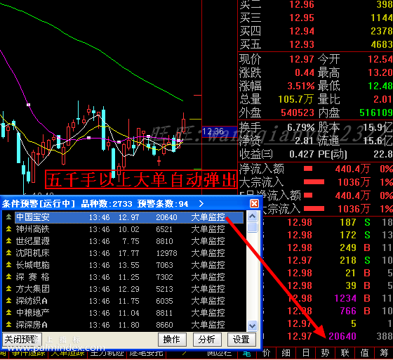 【通达信指标】大单异动-流通盘现手可调节参数预警指标公式