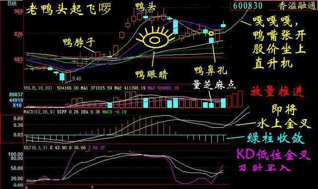 不妨试试“老鸭头”均线法（附选股公式），大胆买进，坐等主力