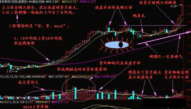 不妨试试“老鸭头”均线法（附选股公式），大胆买进，坐等主力