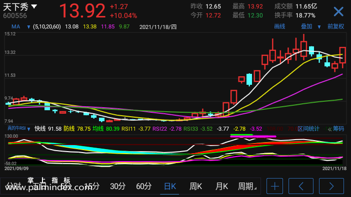 【通达信指标】真的牛RSI-副图指标公式（电脑可用）